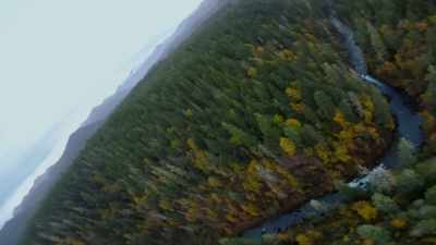  ...where a series
 of possible
 Bigfoot encounters... - Expedition Bigfoot