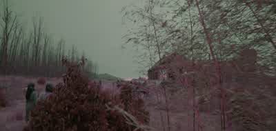Where am I? - See