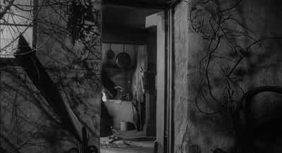 Wait! Wait! Where are you going? I was going to make espresso. - Young Frankenstein