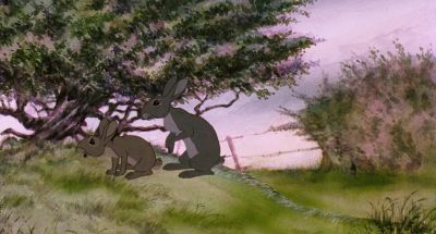 Where are you going - Watership Down