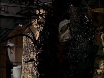 Where are you going? - Farscape