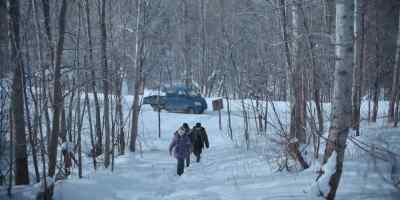 Where are you going? - The Breaking Ice