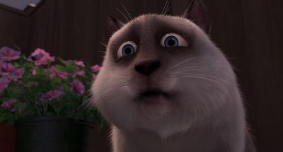 Where are you going - Over the Hedge