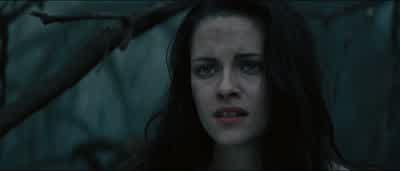 Hey what the hell's going onWho are you Why does the Queen want you deadShe wants everyone dead all of usWhat makes you so damn valuableYou should know you're the one hunting meForget itI should have never got involved in the Queen's businessWhat did I - Snow White and the Huntsman