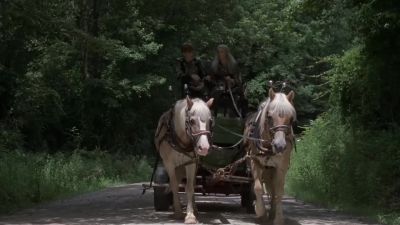 Where are you taking us? - The Walking Dead