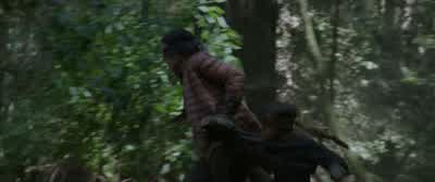 Where are the birds That way. - Bird Box