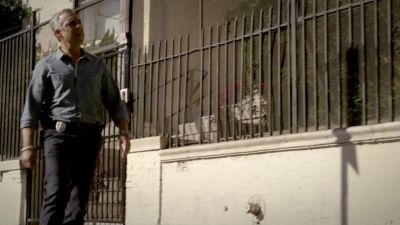 Where are they? - Bosch