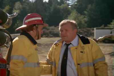 - Where are those suits? - Ants!