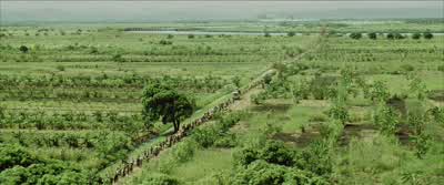 Where are we going? - Blood Diamond