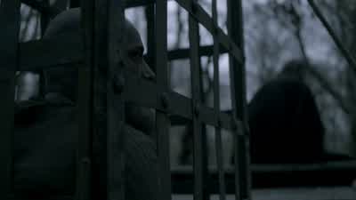 Where are we? - Vikings