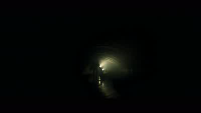 Where are we? - Predators