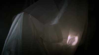 Where are you, Gallywampus? - Treasure Trackers