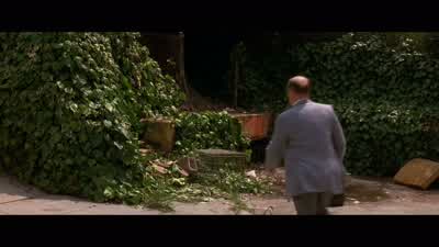 Where are you going? - Falling Down