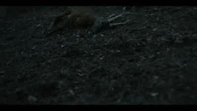 Where are you going? - Chernobyl
