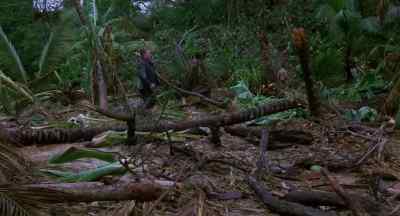 Where are you? - Lord of the Flies