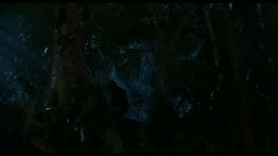Where are you? - Predator