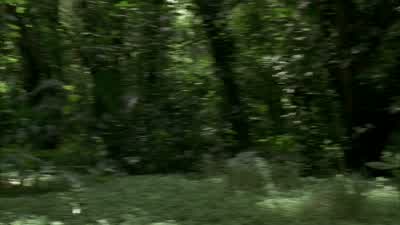 Where are you? - Lost
