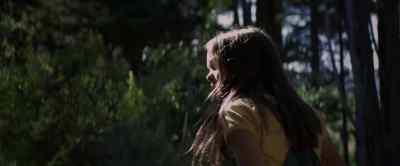 Where are you? - Pete's Dragon