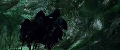 Where are you taking us I nto the Wild - The Lord of the Rings: The Fellowship of the Ring