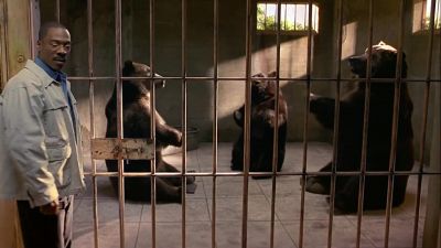 Where at the copa - Dr  Dolittle 2