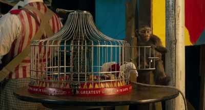 Where we believe no wild animals - Dumbo