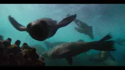 Where her classmates
are already being taught - Our Oceans