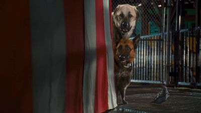 Where could Kitty be hiding that satellite dish - Cats &amp; Dogs: The Revenge of Kitty Galore