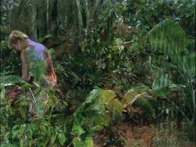 WHERE COULD TONGO
HAVE GONE? - Gilligan's Island