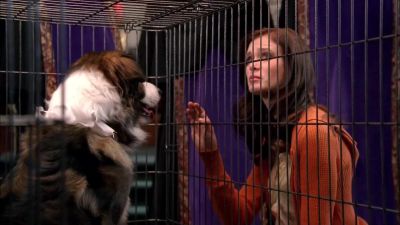 Where did you find him We had help - Return to Halloweentown