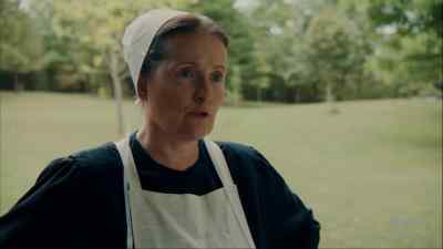- Where did you get this? - Plus One at an Amish Wedding