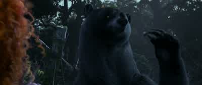 Where did you get this water? - Brave