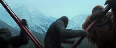 Where did the soldiers go?! - War for the Planet of the Apes