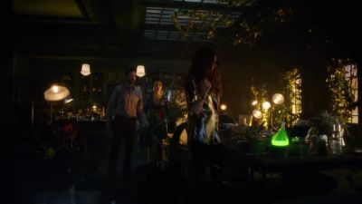 Where did these plants
come from? - Gotham