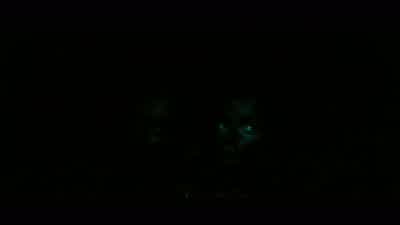 Where did they go? - Pandorum