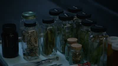 Where did you get all this from? - Teen Wolf