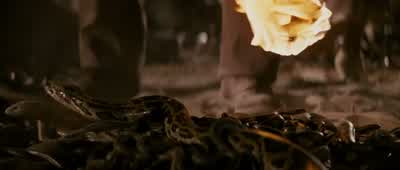 Where did you get this? - Indiana Jones and the Raiders of the Lost Ark
