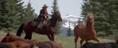 Where do you think you're goin'? - The Cowboys