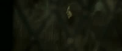 Where does its true loyalty lie? - Harry Potter and the Deathly Hallows: Part 2