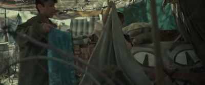Where each has our own room, - Tigers Are Not Afraid