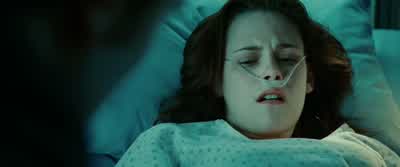Where else am I gonna go? - Twilight