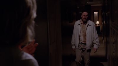 Where have you been? - Breaking Bad