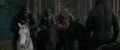 Where is he going?! - War for the Planet of the Apes