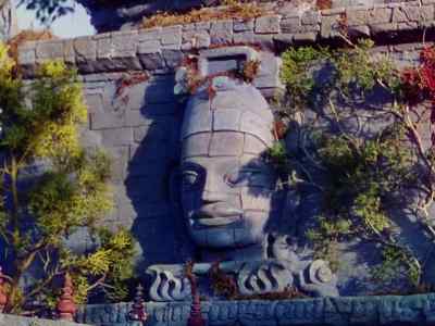 Where is he now? - Jungle Book