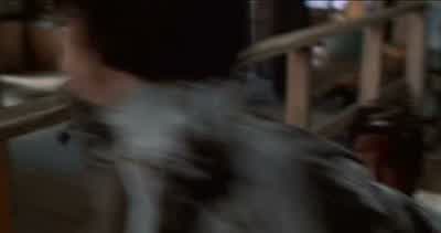 Where is he? - Home Alone 3