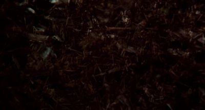 Where is he Shall I take you to him - Exorcist II: The Heretic