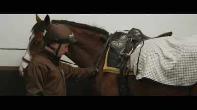 Where he's probably
550 kilo now, - Horsepower