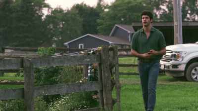"Where horses graze - 14 Love Letters