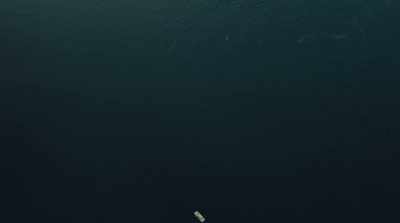 ♪ Where I go,
I fall back asleep - Harpoon