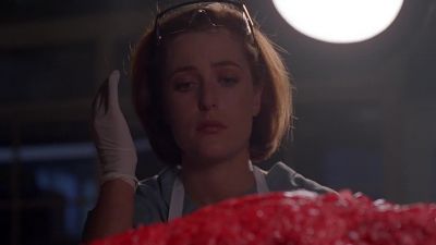 Where was I? Stomach contents. - The X-Files