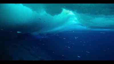 Where ice crystals can grow
on any surface they touch... - Our Oceans